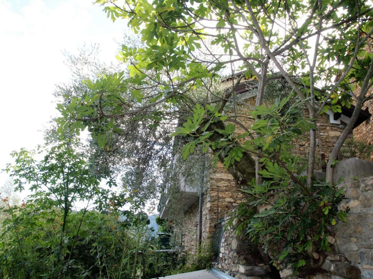 Stellanello Holiday Home Mes Mas By Interhome מראה חיצוני תמונה